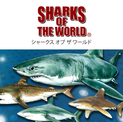 SHARKS OF THE WORLD logo