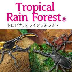 Tropical Rain Forest logo